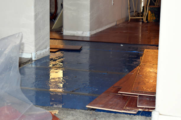 Professional Burst Pipe Cleanup technician working in Glencliff, NH